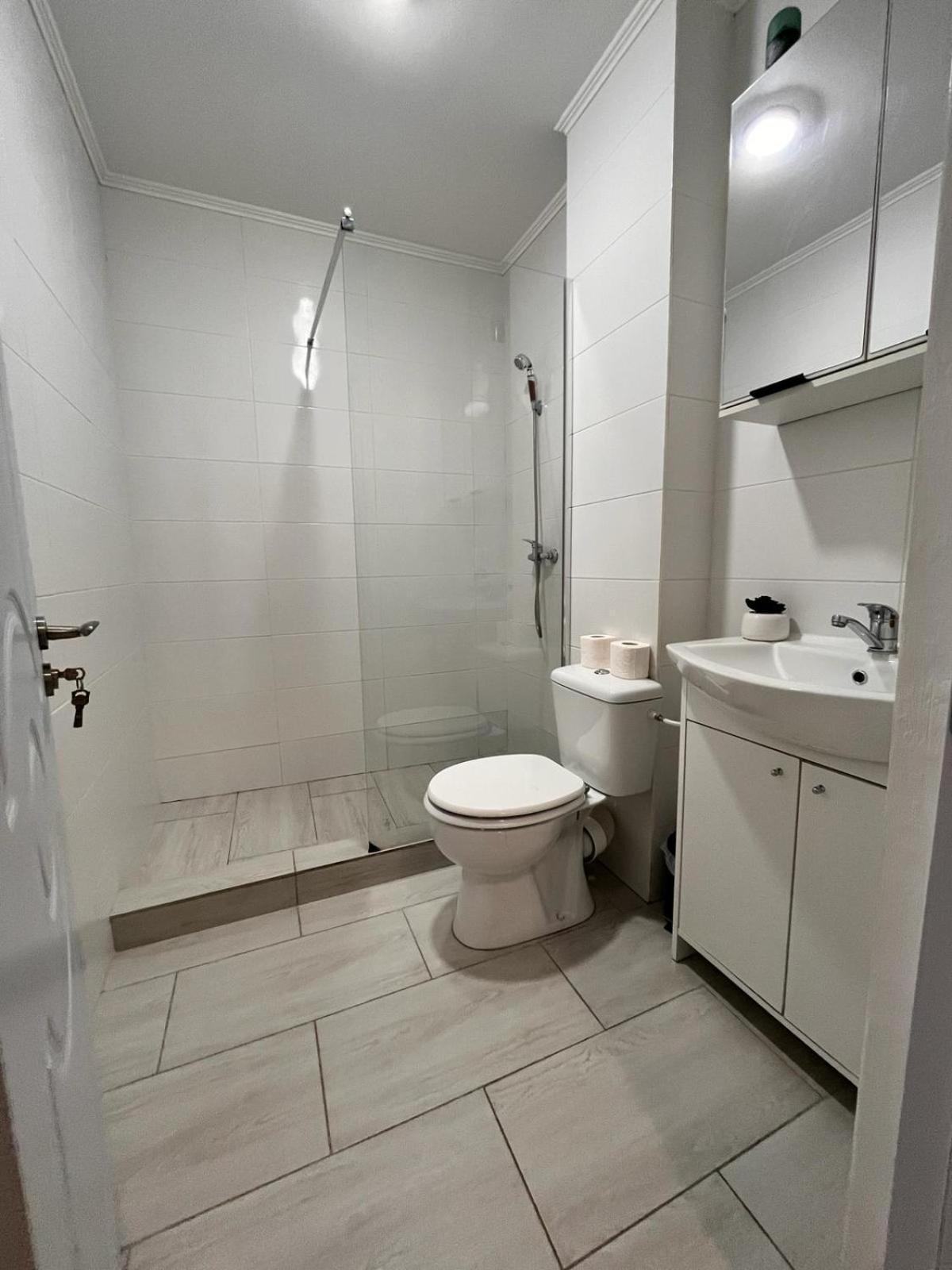 White & Silver Luxury Apartament كرايوفا المظهر الخارجي الصورة